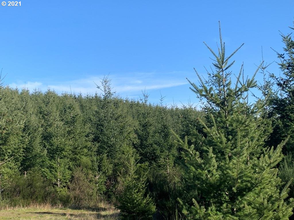 0 Siuslaw River Road Lorane, OR 97451 - Photo 2 of 13 Gallery Image 2