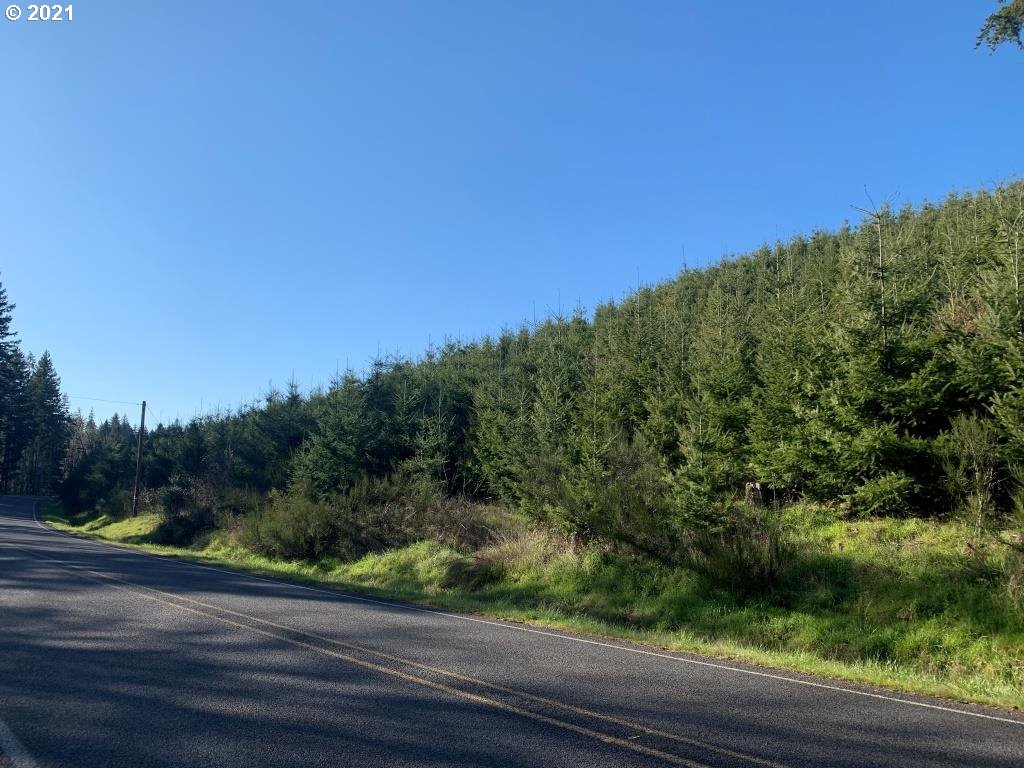 0 Siuslaw River Road Lorane, OR 97451 - Photo 11 of 13 Gallery Image 11