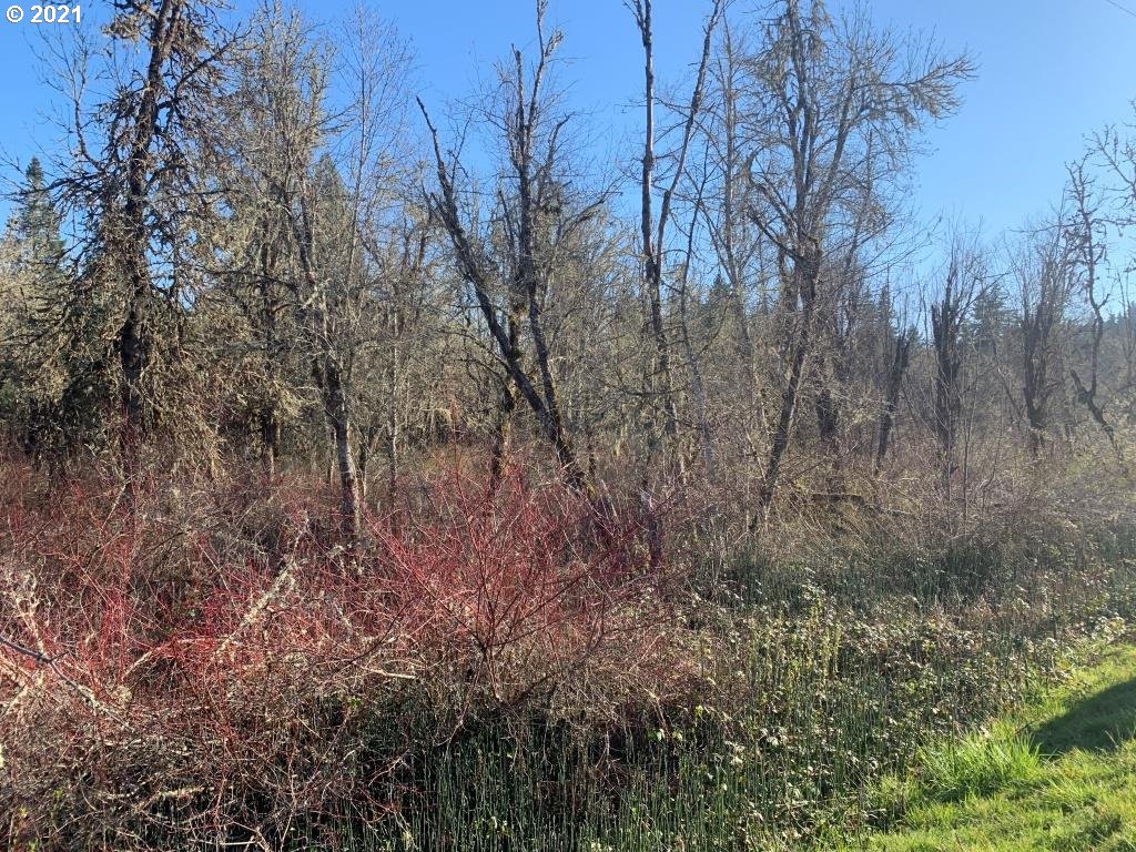 0 Siuslaw River Road Lorane, OR 97451 - Photo 13 of 13 Gallery Image 13