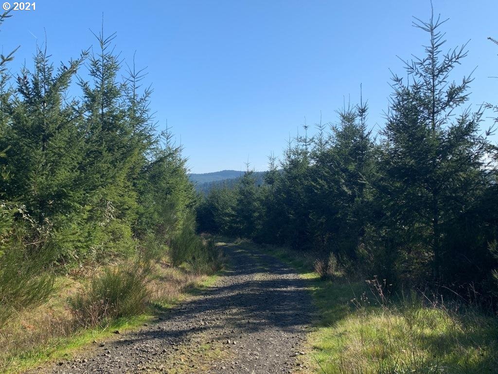 0 Siuslaw River Road Lorane, OR 97451 - Photo 6 of 13 Gallery Image 6