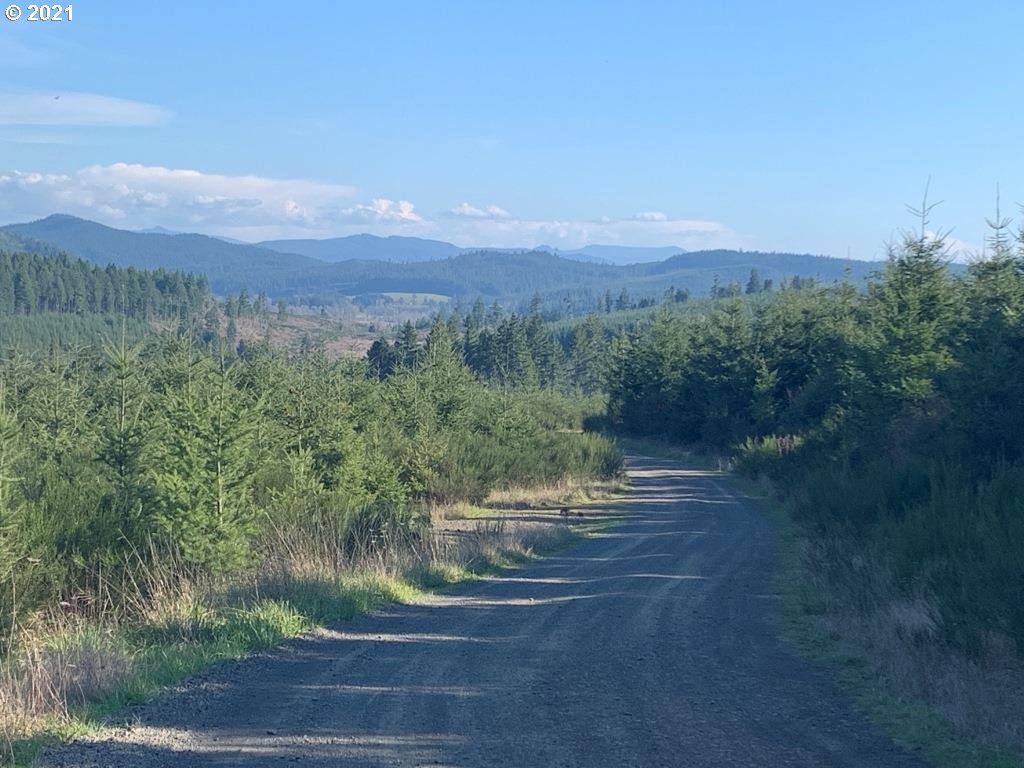0 Siuslaw River Road Lorane, OR 97451 - Photo 10 of 13 Gallery Image 10