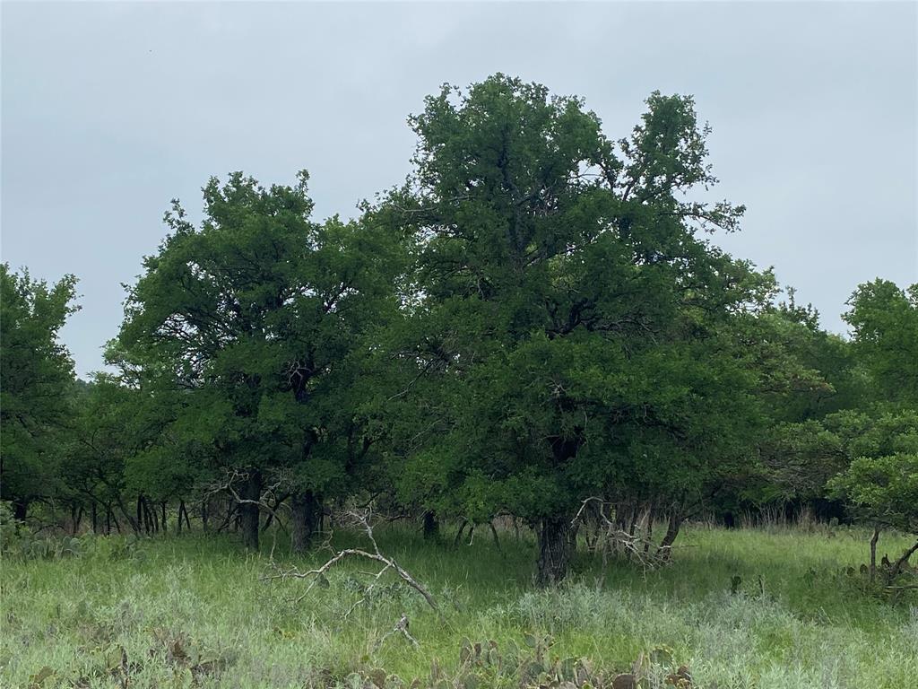 3040 Cutter Circle May, TX 76857 - Photo 2 of 4