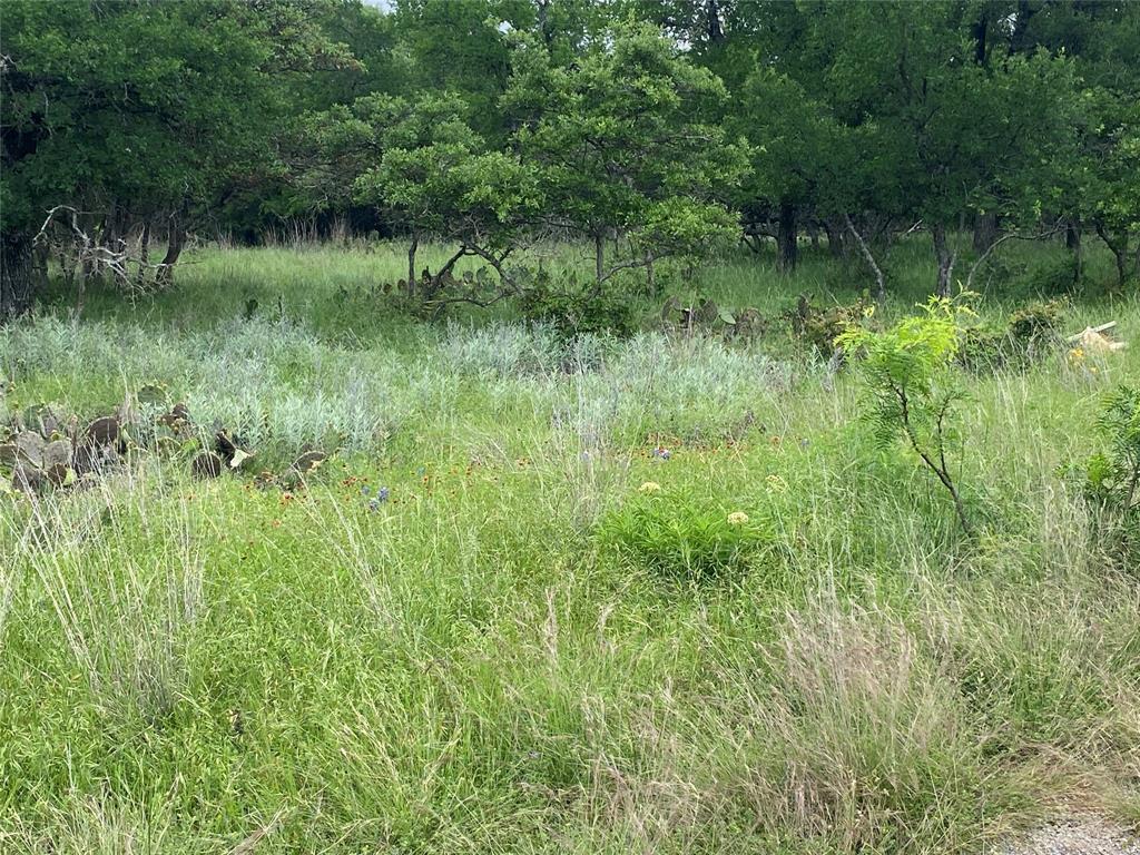3040 Cutter Circle May, TX 76857 - Photo 3 of 4