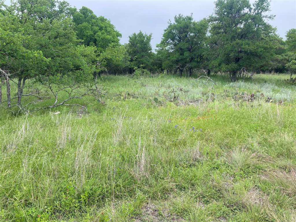 3040 Cutter Circle May, TX 76857 - Photo 4 of 4