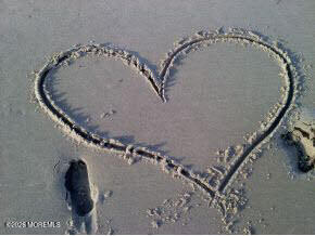 1238 Lakewood Road Manasquan, NJ 08736 - Photo 37 of 37 Sand Heart