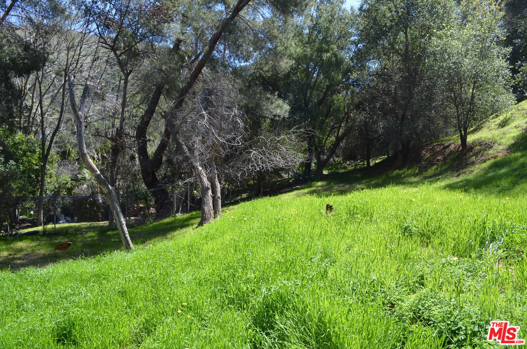 0 Dale Road Calabasas, CA 91302 - Photo 13 of 13 Gallery Image 13