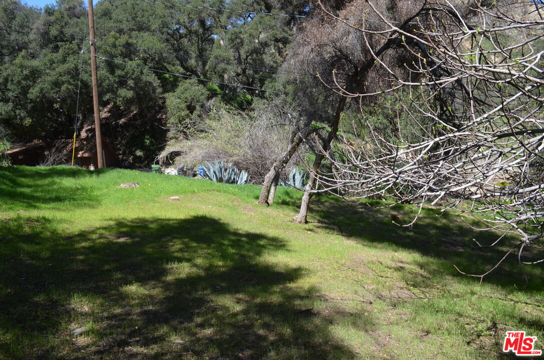 Gallery Image 7