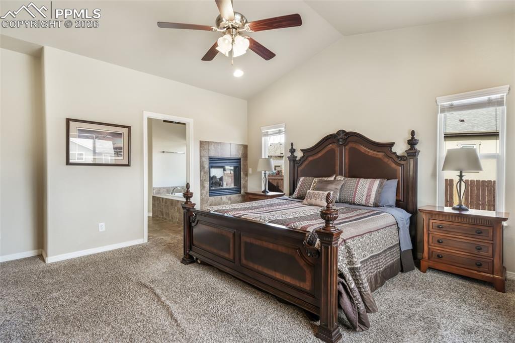 10269 Prairie Ridge Court Peyton, CO 80831 - Photo 24 of 50 Master bedroom alternate view
