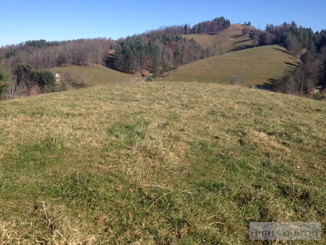 Lot 15 Chestnut Knob Road Boone, NC 28607 - Photo 3 of 7 Gallery Image 3