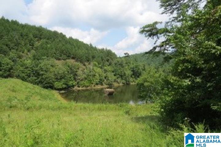 224 County Road, Unit 42 Piedmont, AL 36272 - Photo 2 of 7