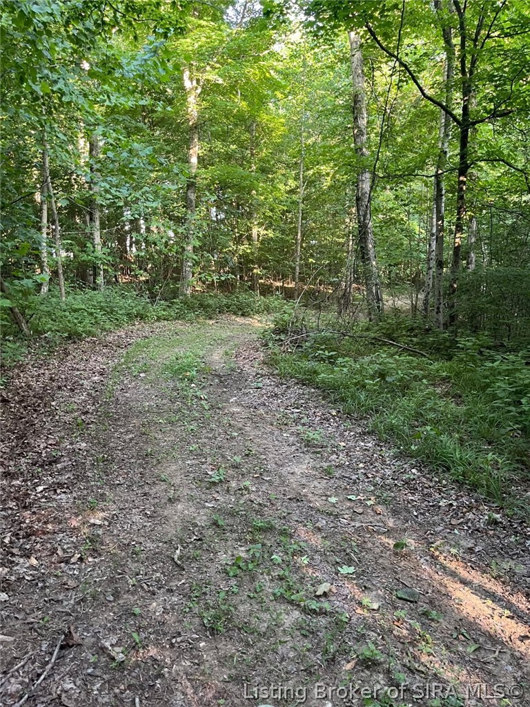 250 S West Co Road Paoli, IN 47454 - Photo 12 of 38 ATV TRAILS