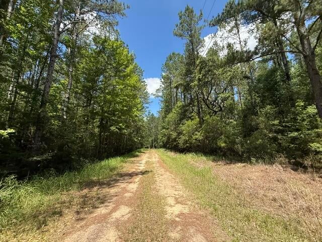 0 Elmer Hamilton Road Moss Point, MS 39562 - Photo 11 of 22 Gallery Image 11