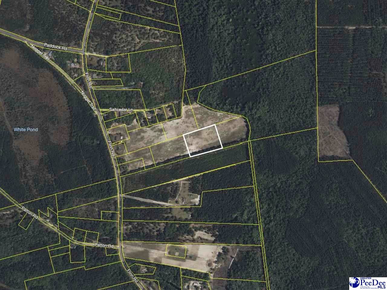 6 Off Flinn Road Manning, SC 29102 - Photo 16 of 17 Gallery Image 16