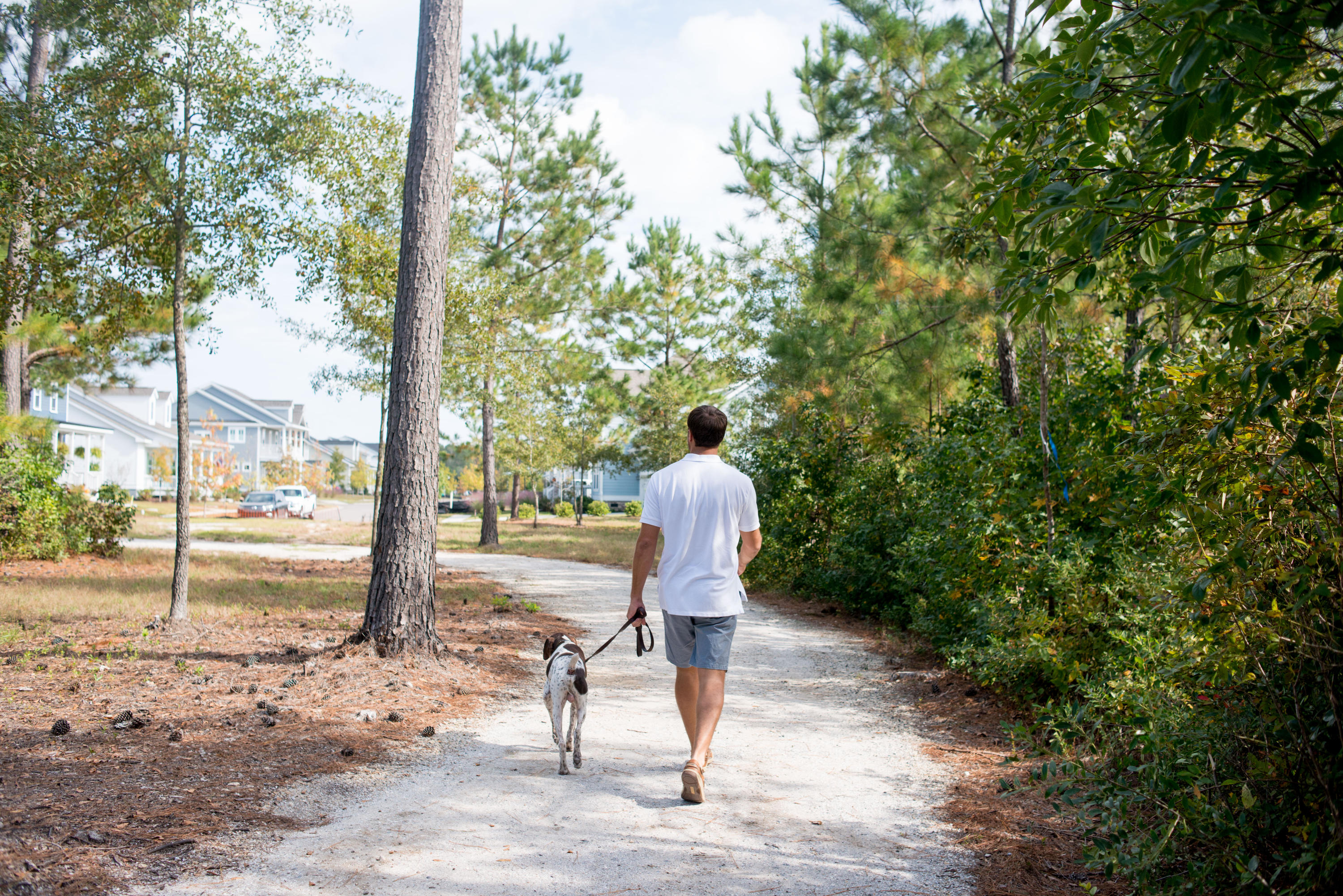 116 Backhurst Drive Summerville, SC 29486 - Photo 58 of 65 LW_trail_dog4