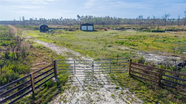 a view of a yard with trees