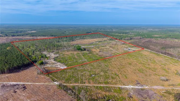 a view of a yard with an outdoor space