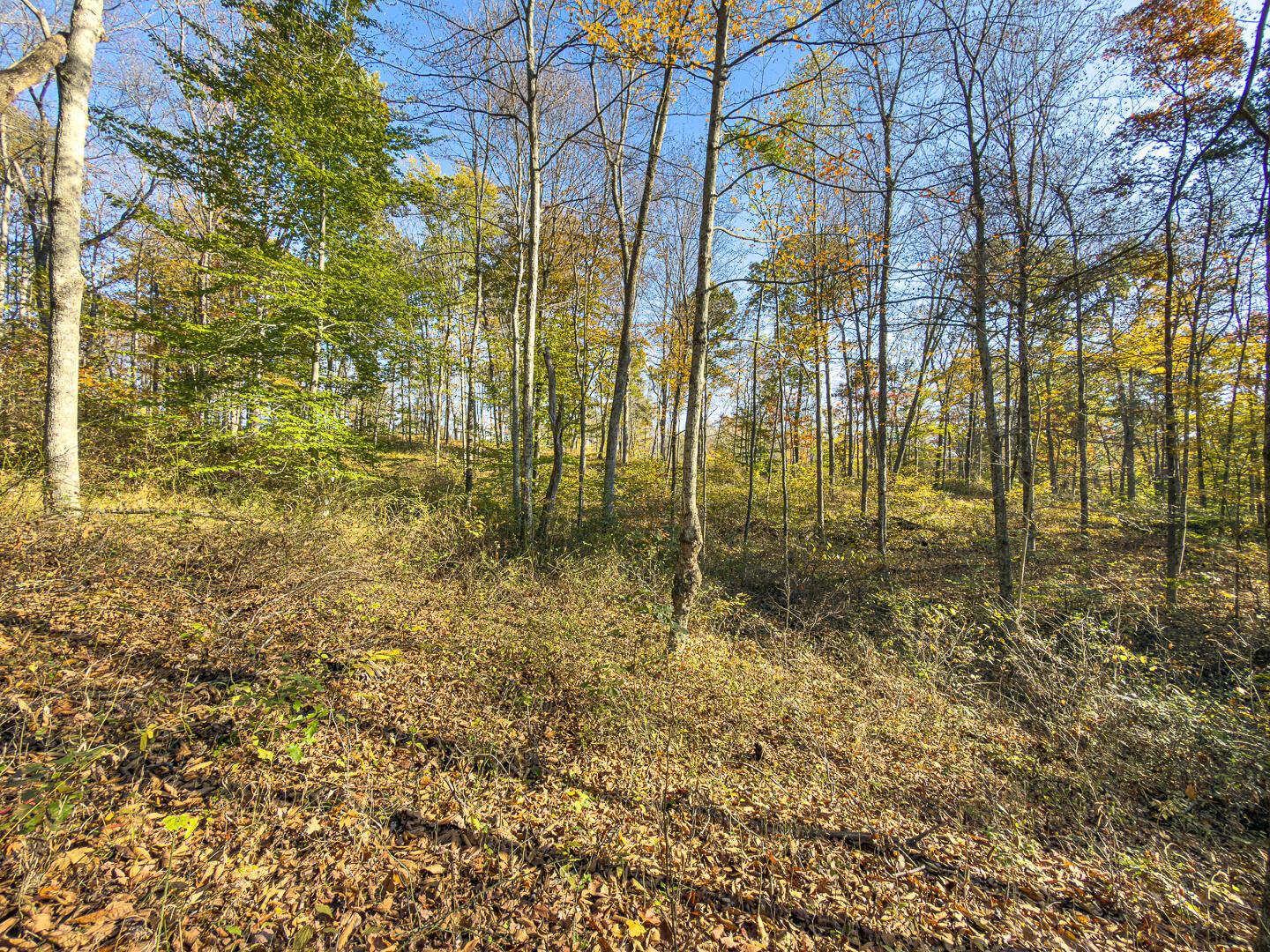 0 Chase Road Albany, OH 45710 - Photo 25 of 37 Chase Rd-25