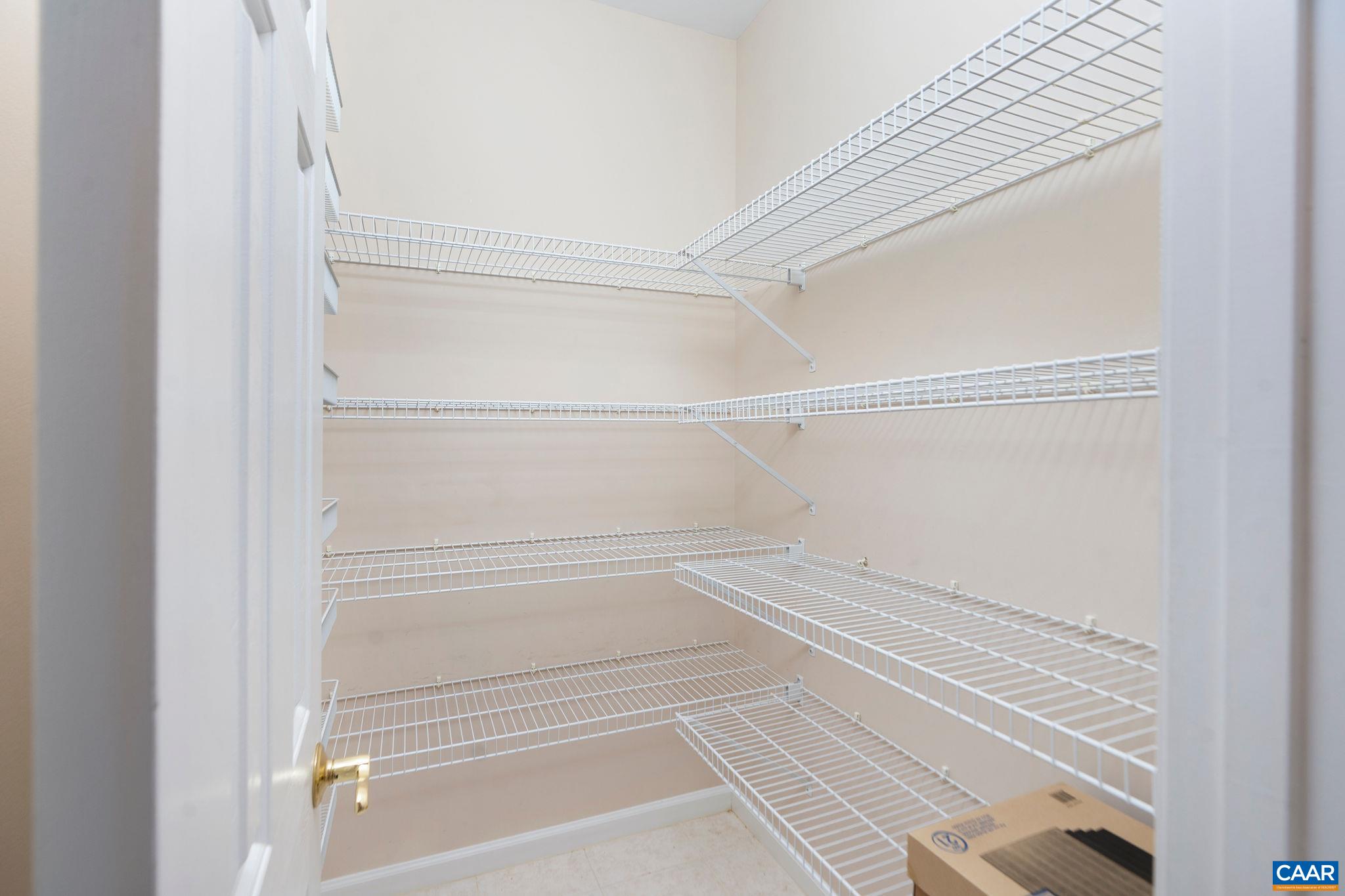 21 Amethyst Road Palmyra, VA 22963 - Photo 28 of 66 a view of walk in closet with empty racks