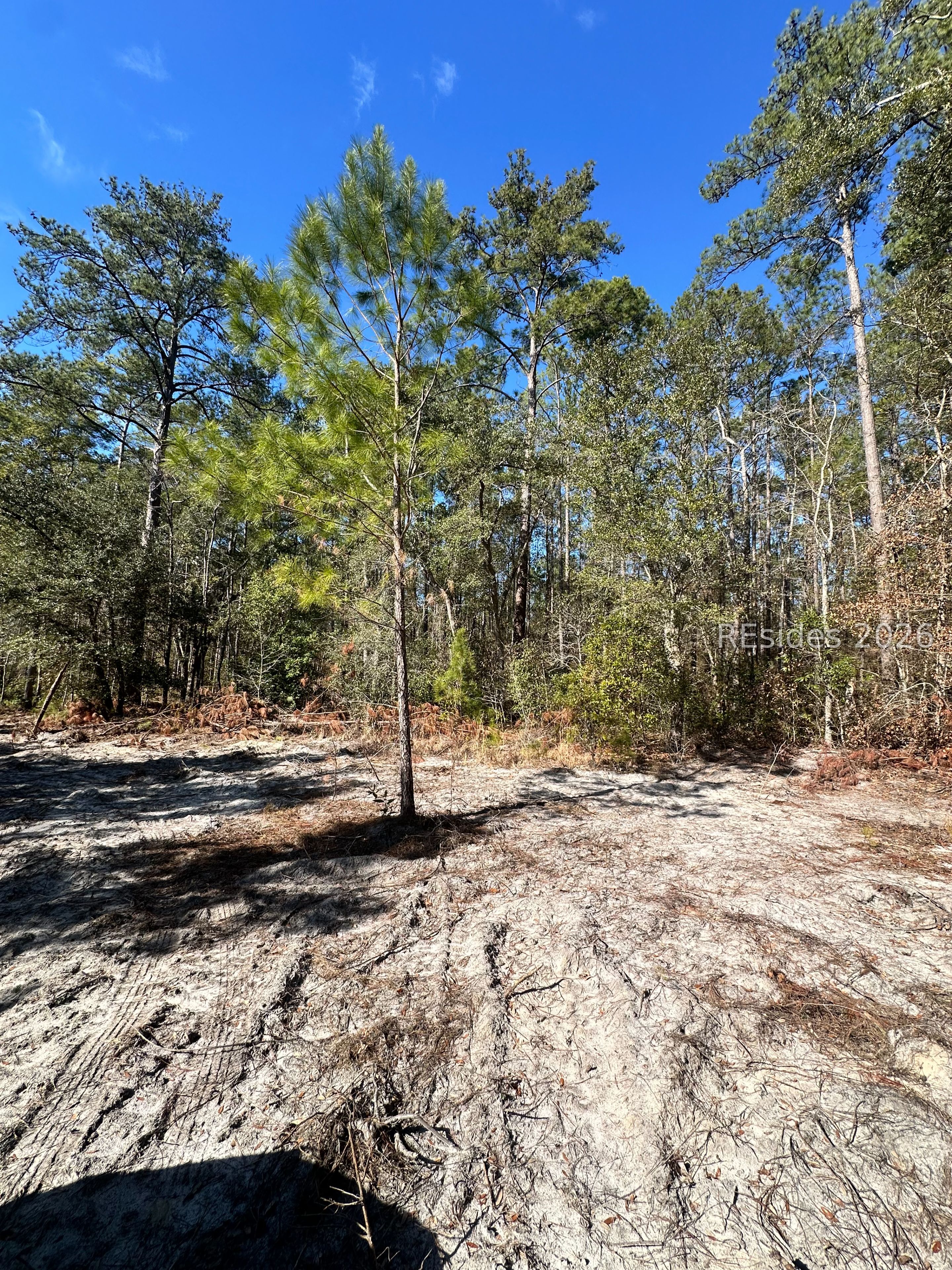 0 Spring Field Plantation Drive Ridgeland, SC 29936 - Photo 3 of 15