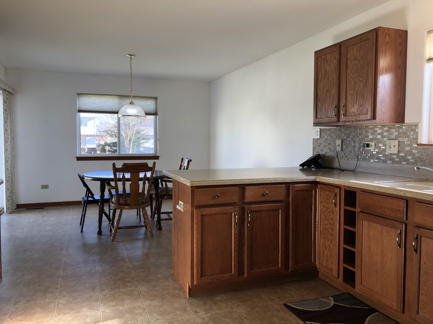 1208 Raintree Court Joliet, IL 60431 - Photo 13 of 43