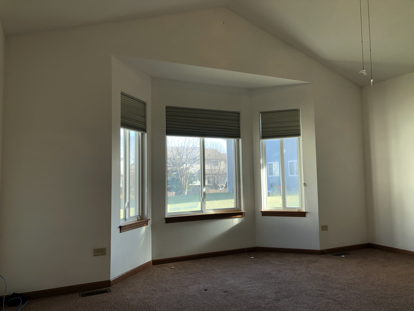 1208 Raintree Court Joliet, IL 60431 - Photo 18 of 43