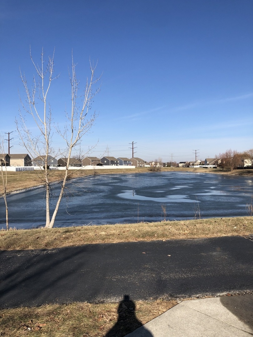 1208 Raintree Court Joliet, IL 60431 - Photo 40 of 43