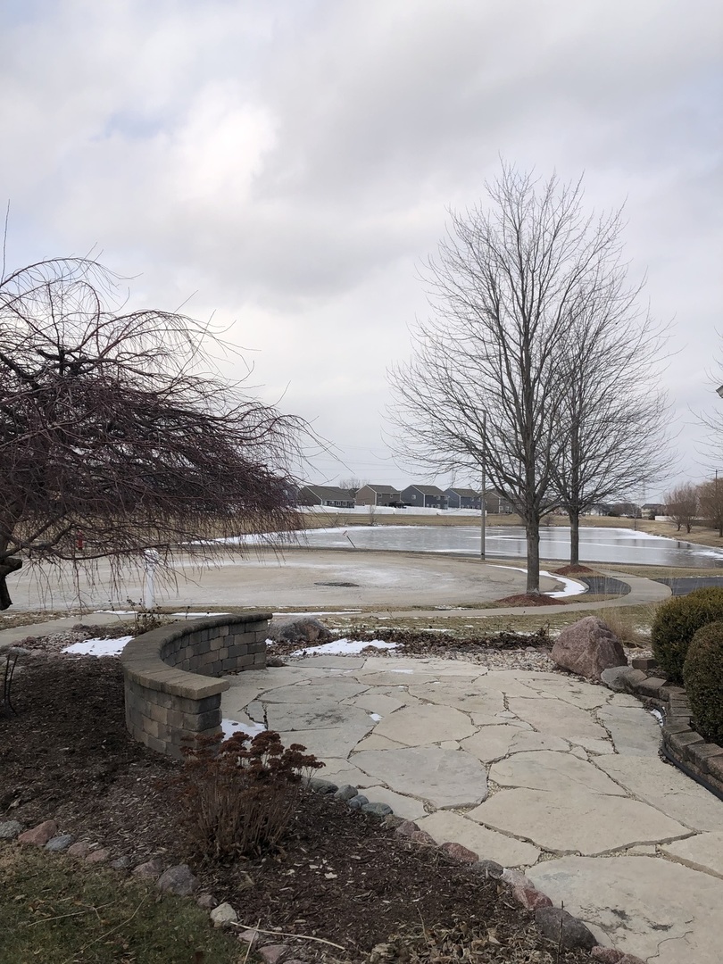 1208 Raintree Court Joliet, IL 60431 - Photo 43 of 43