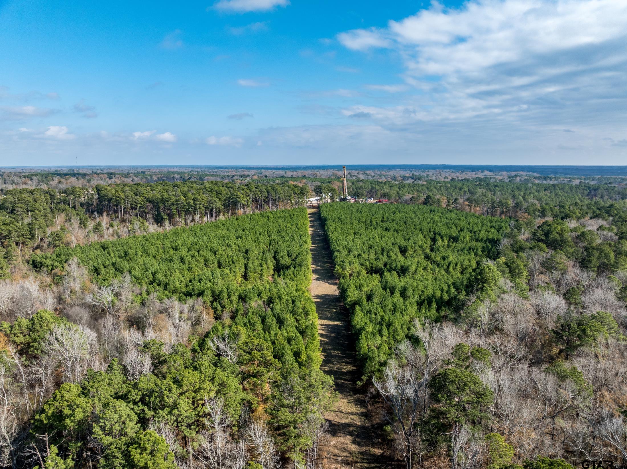Tbd Tom Woodley Road Marshall, TX 75672 - Photo 4 of 11