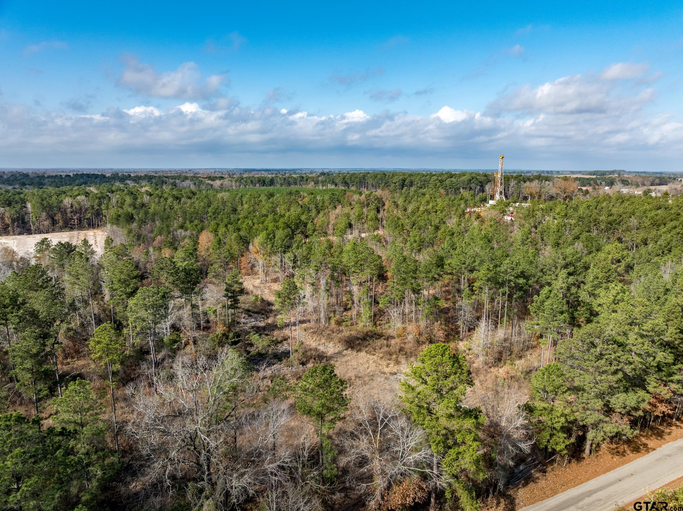 Tbd Tom Woodley Road Marshall, TX 75672 - Photo 8 of 11