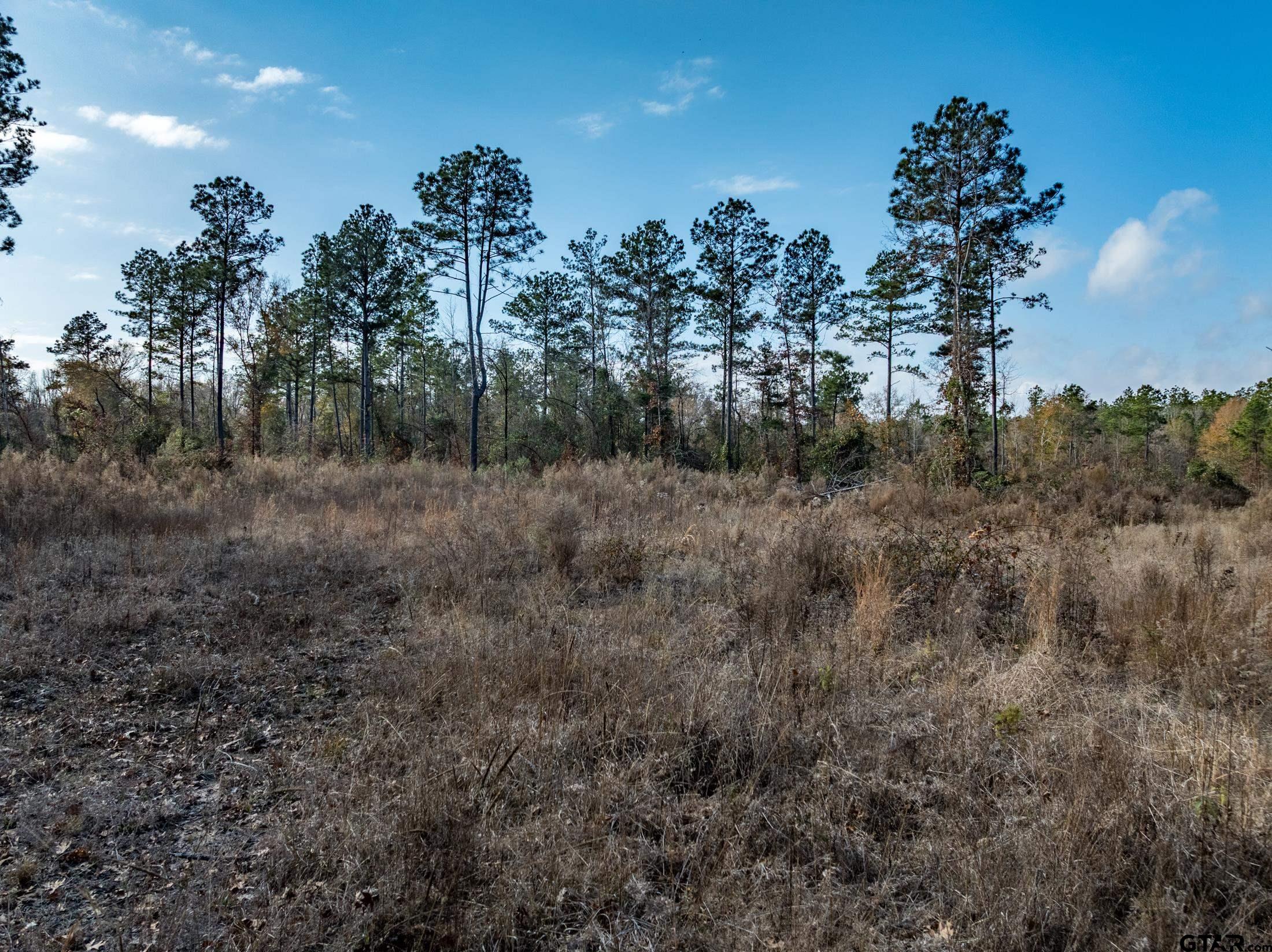Tbd Tom Woodley Road Marshall, TX 75672 - Photo 10 of 11