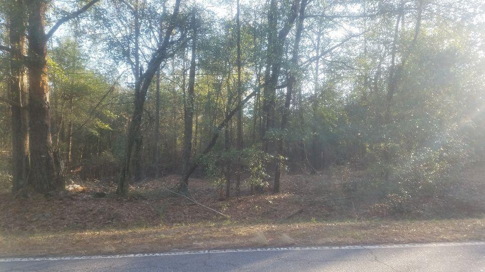 2334 Mims Road Hephzibah, GA 30815 - Photo 1 of 1 Mickens
