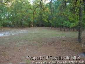 4742 Rockfish Road Raeford, NC 28376 - Photo 6 of 6 Gallery Image 6
