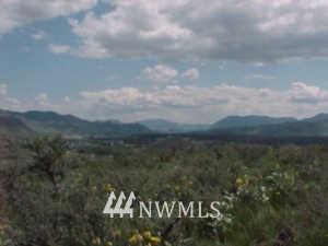 44 Hamilton Loop Winthrop, WA 98862 - Photo 1 of 1 Gallery Image 1