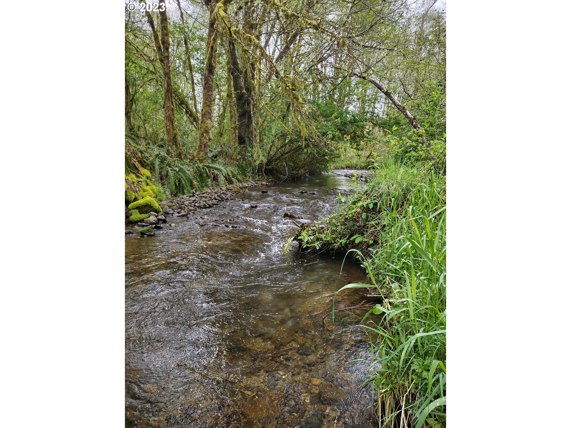 Maple Road Seaside, OR 97138 - Photo 1 of 12
