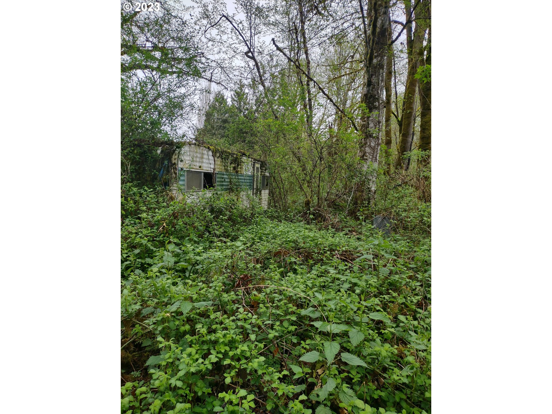 Maple Road Seaside, OR 97138 - Photo 12 of 12