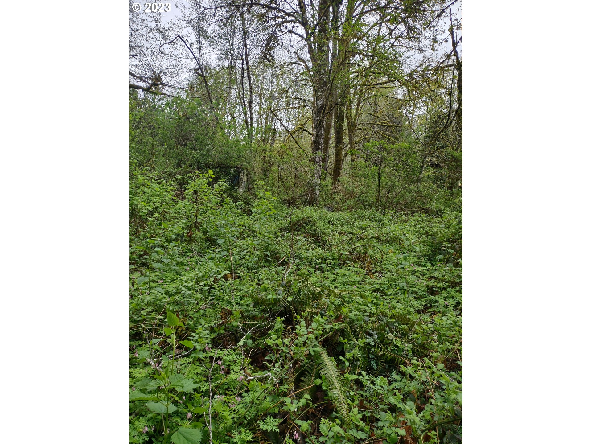 Maple Road Seaside, OR 97138 - Photo 3 of 12