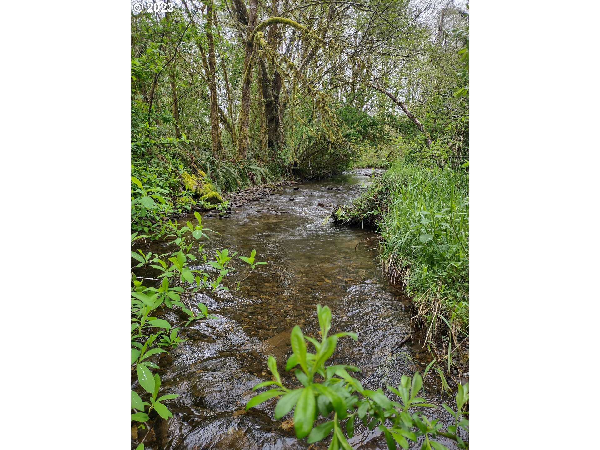 Maple Road Seaside, OR 97138 - Photo 6 of 12