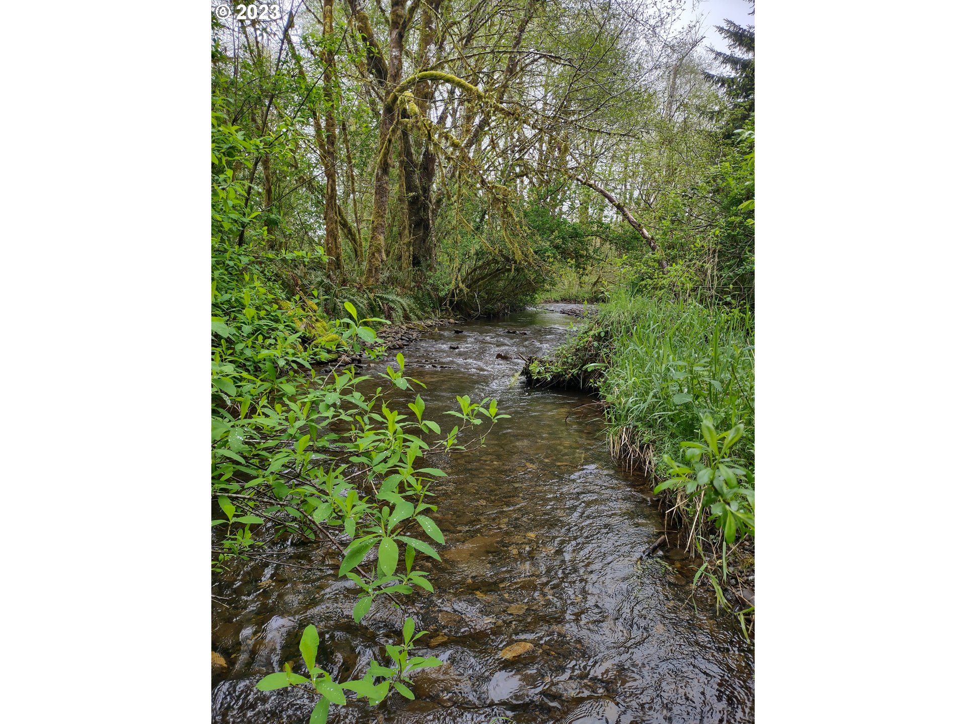 Maple Road Seaside, OR 97138 - Photo 7 of 12