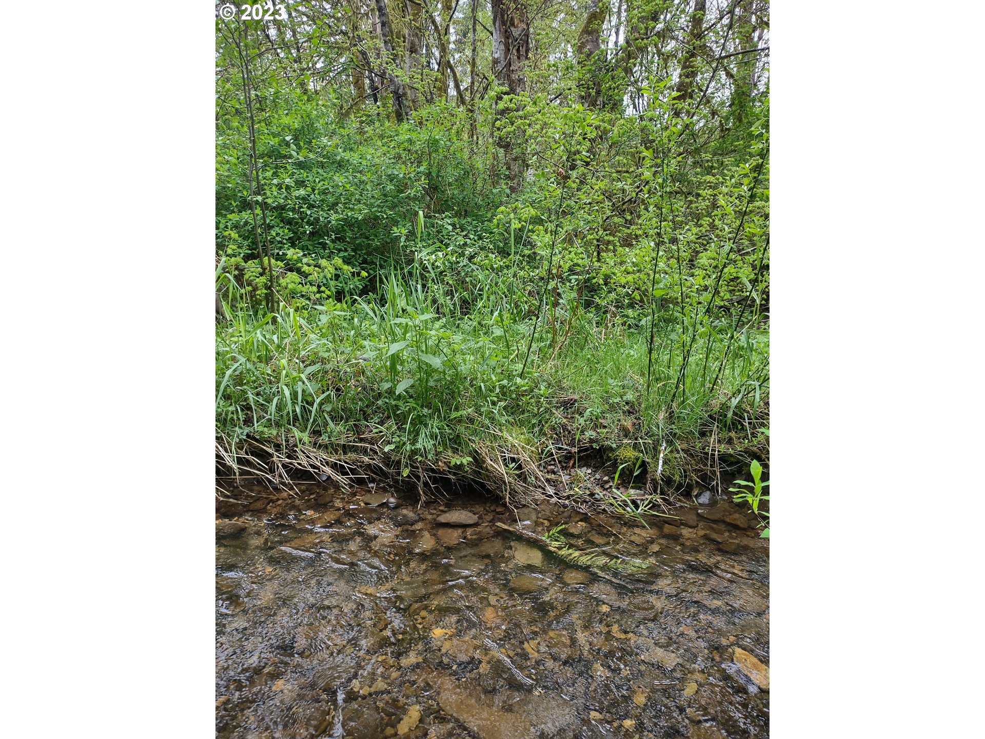 Maple Road Seaside, OR 97138 - Photo 9 of 12