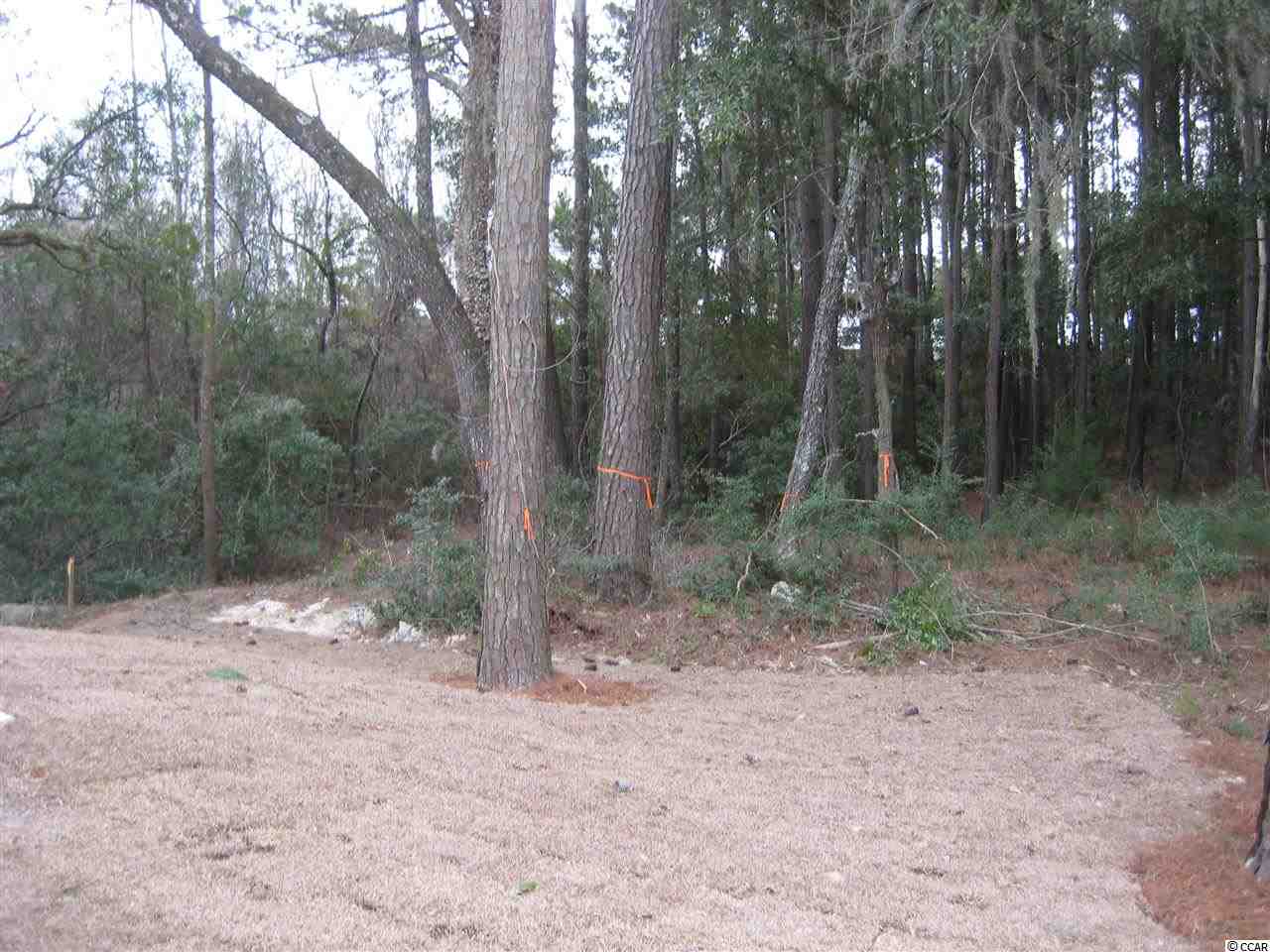 63 Gilman Road Pawleys Island, SC 29585 - Photo 6 of 25 Gallery Image 6