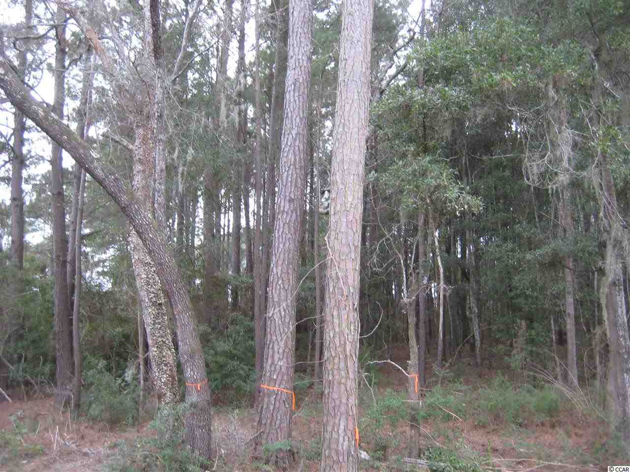 63 Gilman Road Pawleys Island, SC 29585 - Photo 8 of 25 Gallery Image 8