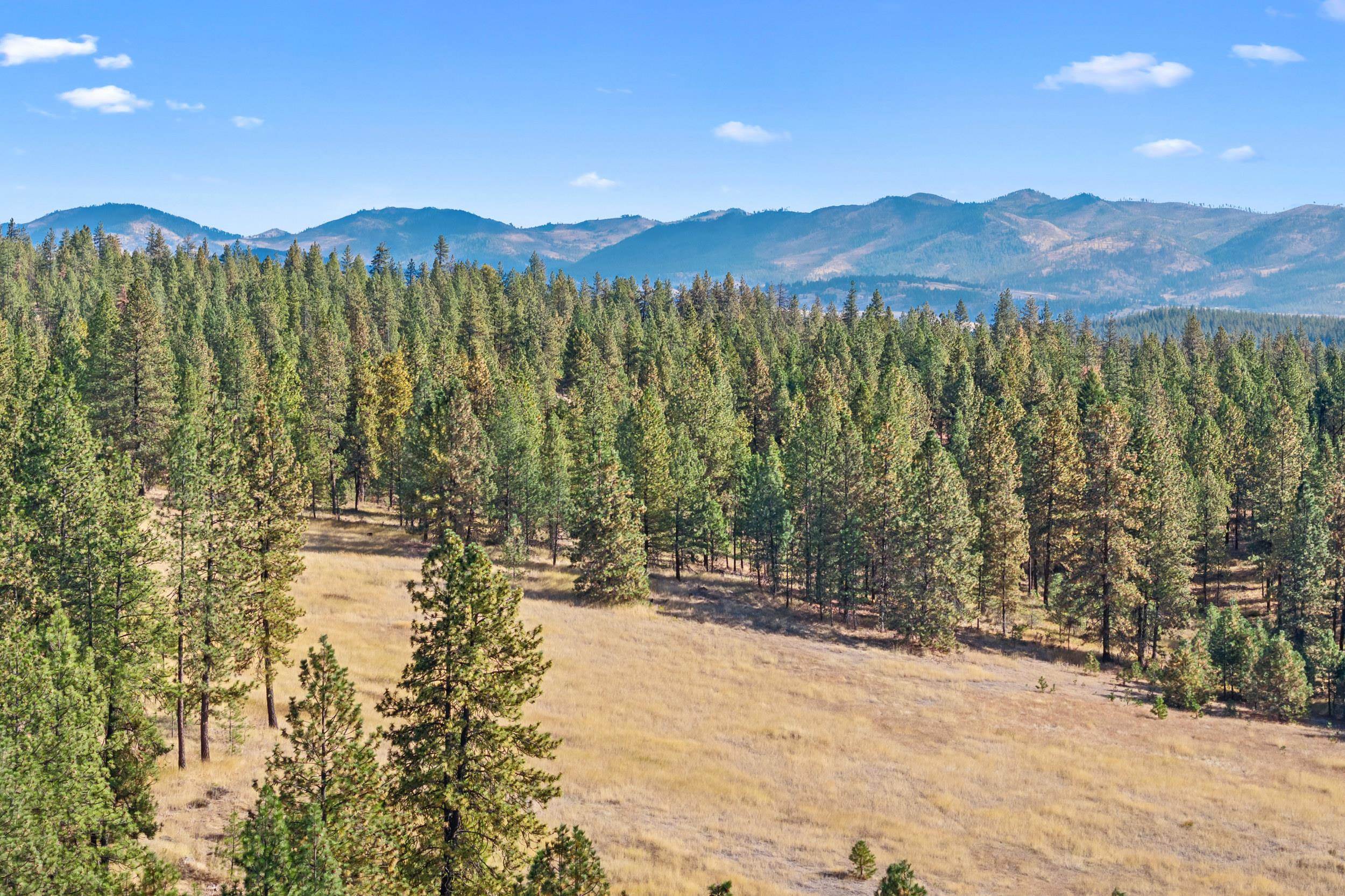 6271 Miller Mountain Road Fruitland, WA 99129 - Photo 42 of 47