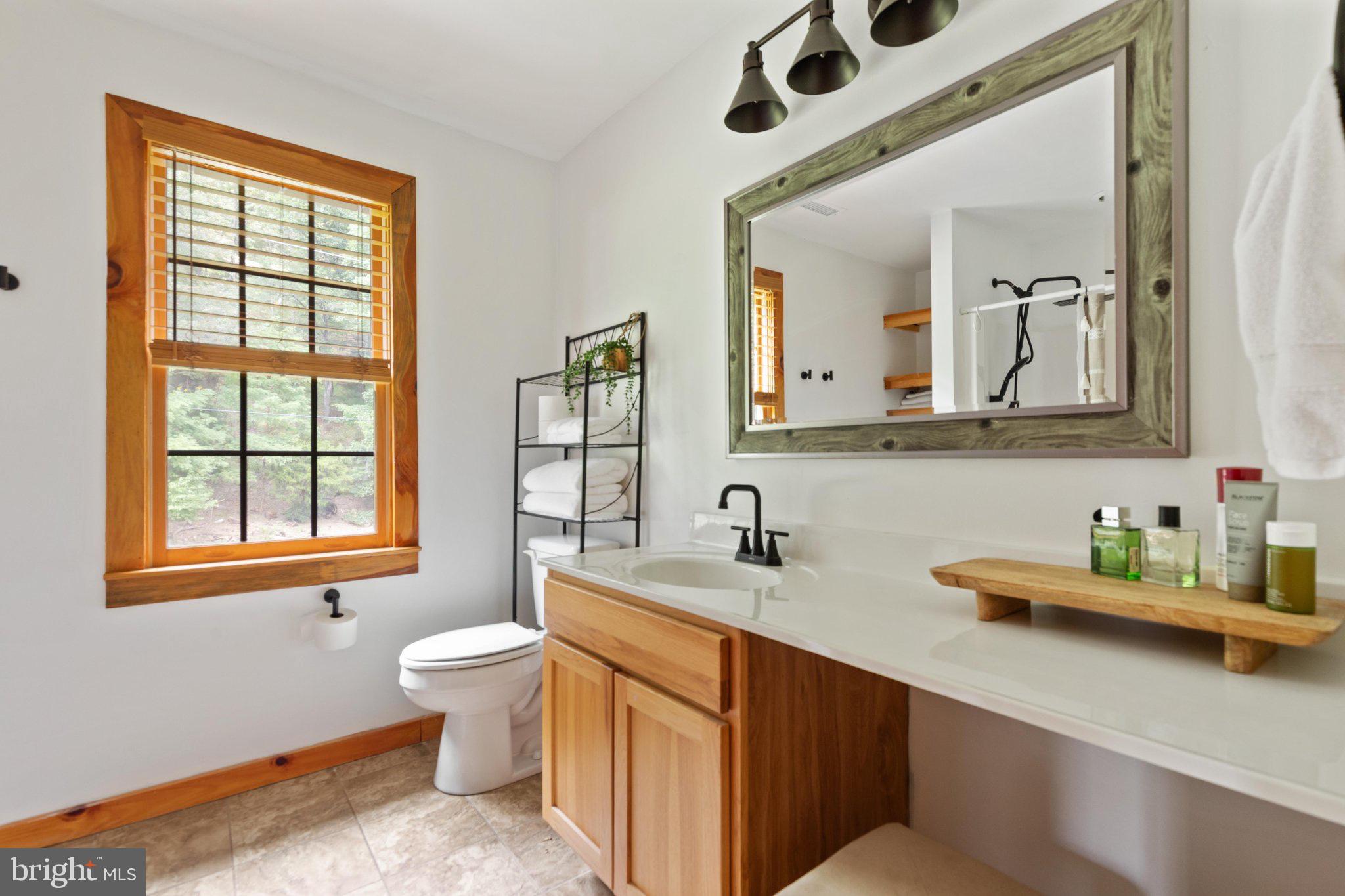1396 Cullers Run Road Mathias, WV 26812 - Photo 19 of 79 Bright and airy bathroom with natural light.