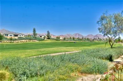 a view of a grassy field with trees