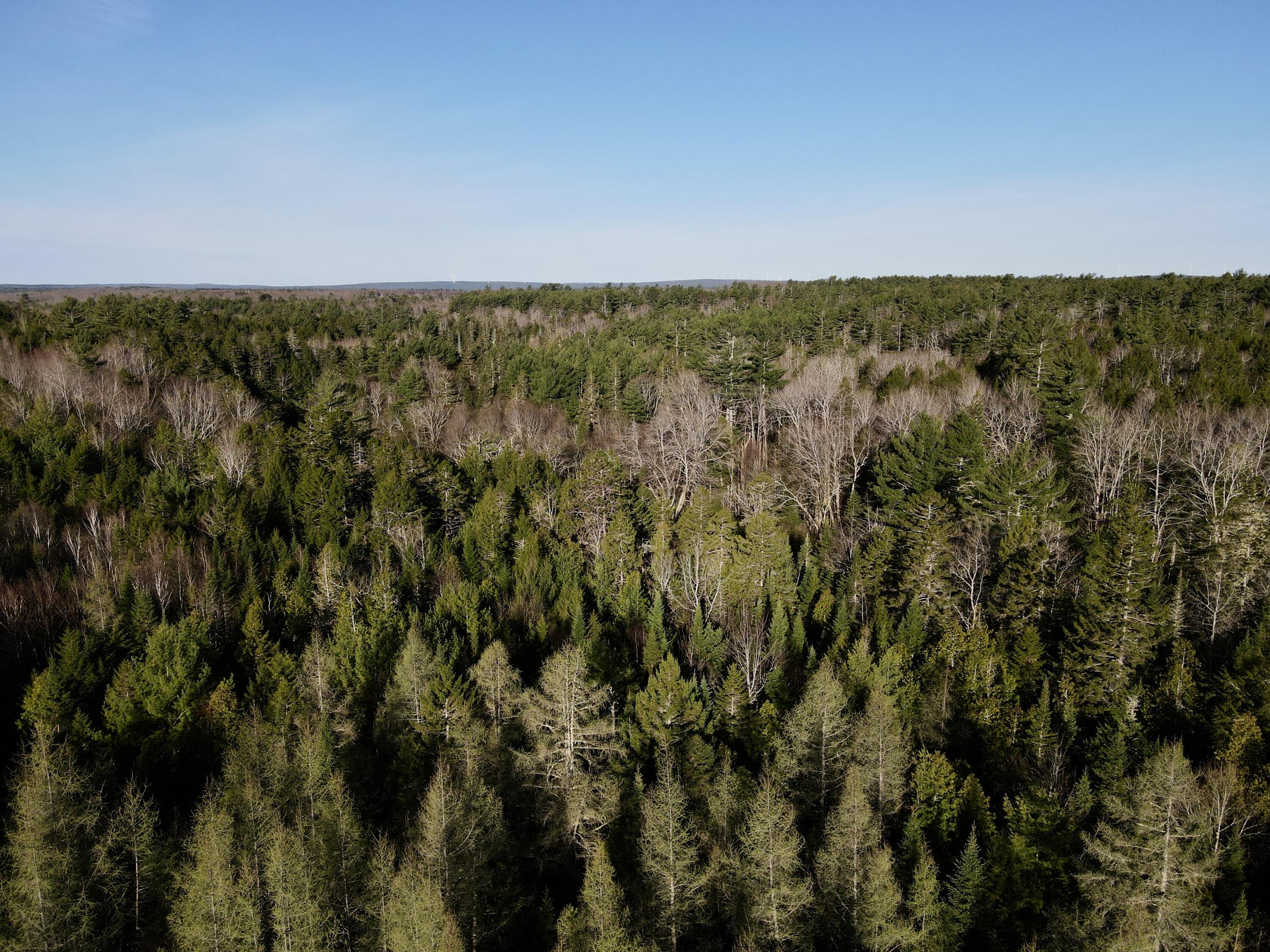 5 River Bend Road, Unit 5 Deblois, ME 04622 - Photo 16 of 25 Aerial