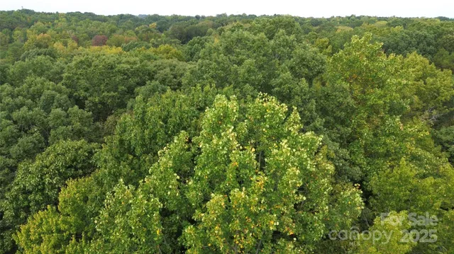 a view of a lush green forest with trees and houses