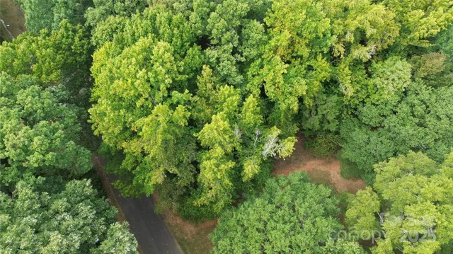 a view of a garden with a tree