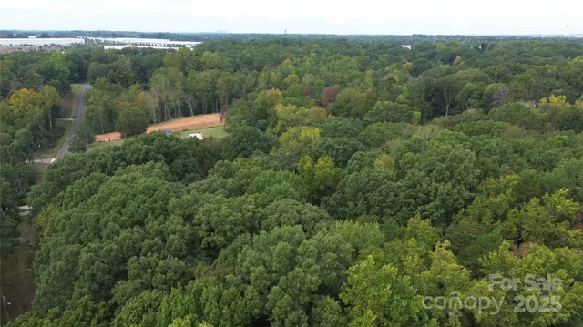 a view of a forest with a street
