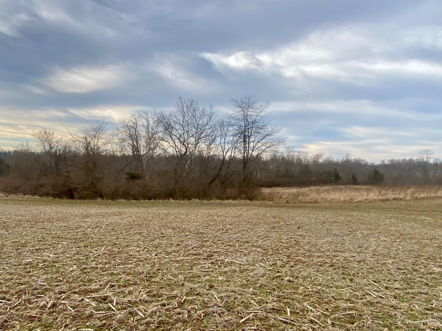 Ac Sabina Road Leesburg, OH 45135 - Photo 1 of 22 Gallery Image 1