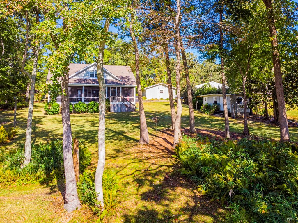 589 Miller Road Abbeville, AL 36310 - Photo 64 of 72 Back view